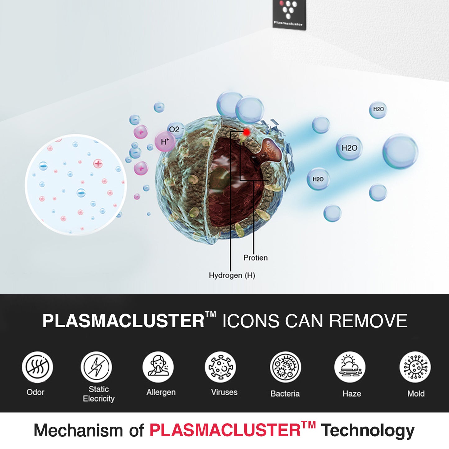 SHARP PureFit Air Purifier with Plasmacluster | Removes 99.97% Pollutants - Bacteria, Virus, Mold, VOCs | 4-Stage Filters | Japan Technology | 330 ft² | FP‑S42M‑L
