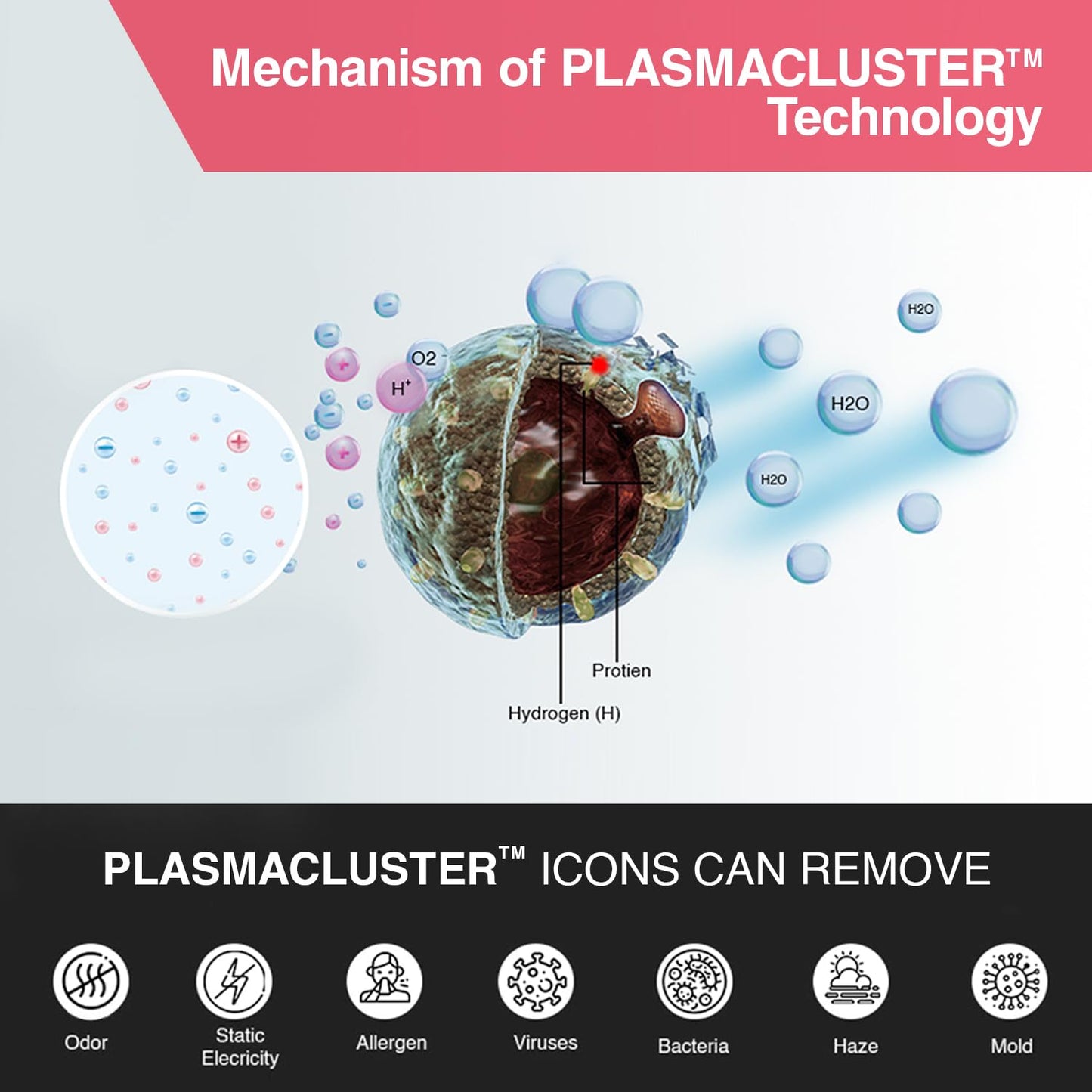 SHARP PureFit Air Purifier with Plasmacluster | Removes 99.97% Pollutants - Bacteria, Virus, Mold, VOCs | 4-Stage Filters | Japan Technology | 930 ft² | FX-S120M-H