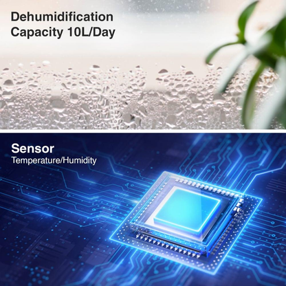 SHARP Compact Dehumidifier for Home & Office with Plasmacluster | Removes Bacteria, Virus, Mold, VOCs | Japan Technology |  250 ft² | DW-P10M-W